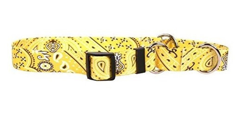 Yellow Dog Diseño Martingala Slip Collar, Pañuelo Amarillo, 