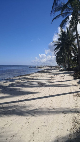 Imagen 2 de 10 de Oportunidad De Venta Terreno De Inversion Yucatan