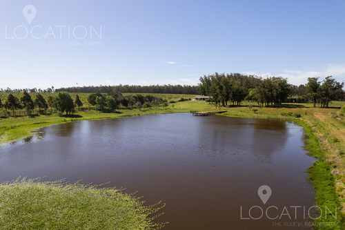 Venta Campo Con Casa 164 Hectáreas, 8 Dormitorios, Ruta 104