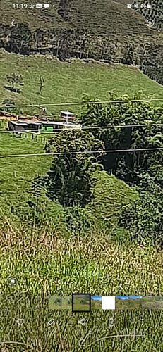 Se Vende Finca De Productora En La Vereda El Aguacate, Urrao