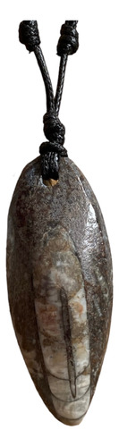 1 Dije De Piedra Natural Orthocera Belemnite Fosil
