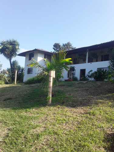 Se Vende Finca Arabia Pereira - Risaralda 