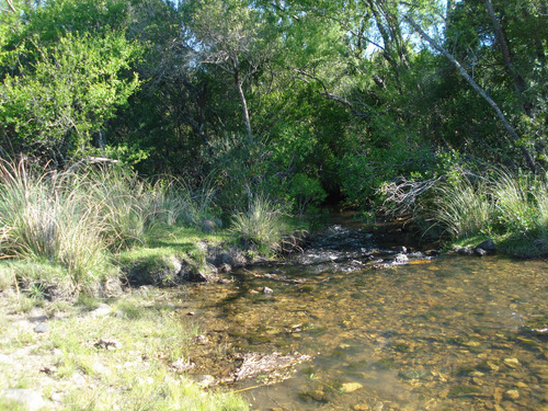 Campo En Paraje Carapé