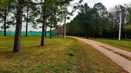 Imagen 2 de 11 de Terreno - Campos De Roca