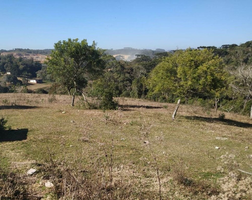 Imagem 14 de 30 de Chácara À Venda, 166375 M² Por R$ 4.000.000,00 - Costeira - São José Dos Pinhais/pr - Ch0081