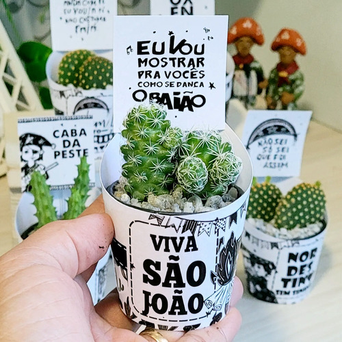 Rótulo Digital De Suculentas - Cordel Encantado P/ Imprimir