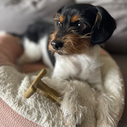 Spot Bam-bones Plus T Bone - Fibra De BambĂș Y Nailon, Mastic