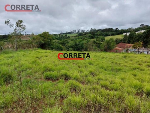 Imagem 2 de 5 de Lote Com 5400m² Localizado No Bairro Cupím. - 270