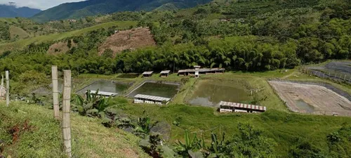 En Venta Finca Restrepo Valle