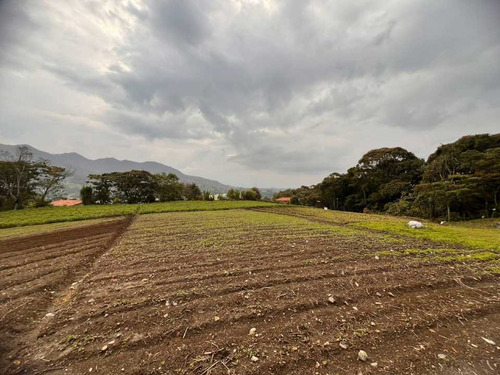 Lote Para Cultivo O Parcelación En Venta En El Carmen De Víboral...