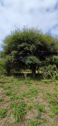 Imagen 25 de 30 de Venta De Hermosos Lotes En Comuna San Roque, Córdoba!!