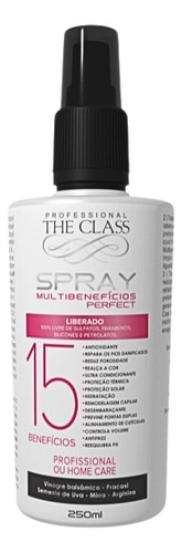 Spray Multibeneficios Perfect The Class Profissional