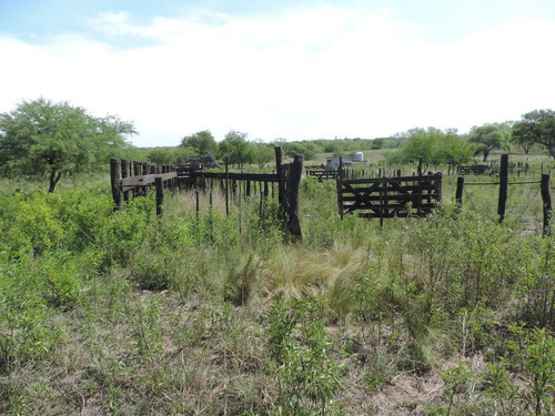Oportunidad !!! Campo Productivo, Cría Y Siembra - 65 Has En San Pedro, Cba.