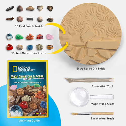 National Geographic - Kit De Excavación De Mega Fósiles Y Pi