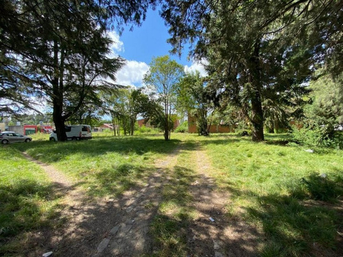Imagen 4 de 7 de Lotes En Venta En Ezeiza (son 2, Con Posibilidad De Dividir)