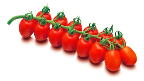 5000 Semillas De Tomate Cherry Variedad Ámsterdam