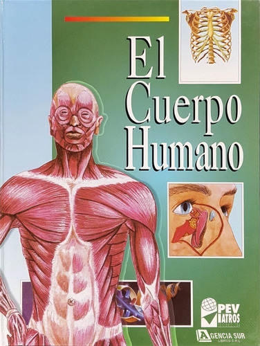 El Cuerpo Humano Para Estudiantes