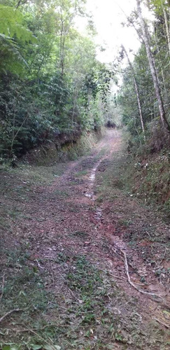 (k.a) Lotes Planos Em Otima Região - 1.000m²