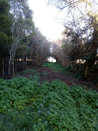 Imagen 22 de 29 de Chacra En Madariaga