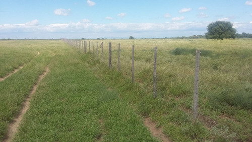 Imagen 18 de 30 de Se Vende Campo En Cordoba Listo Para Trabajarlo