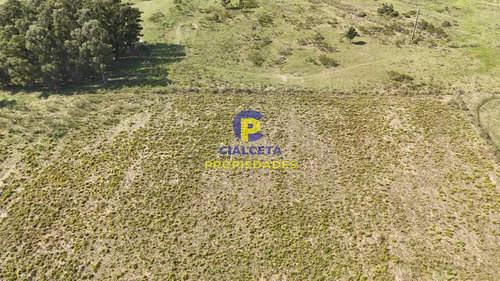 3 Hectáreas En Migues Con Aguada Y Linda Vista