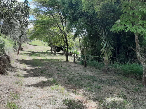 Chácara Muito Próximo Da Cidade De Aiuruoca , Com 30.000 Metros Quadrados, Casa Boa , Água,luz, Pasto. Chácara 1klm Do Centro De Aiuruoca , Com Casa Muito Boa . - 914
