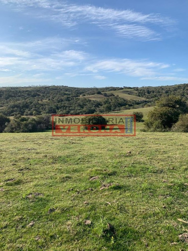 Imagen 19 de 30 de Venta Campo Ubicado En Garzón