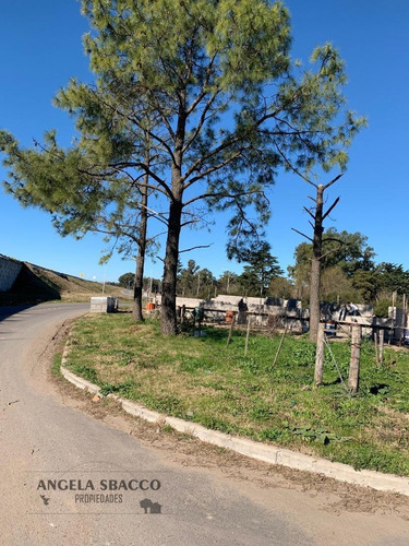 Imagen 1 de 7 de Terrenos En Parada Robles, Ruta 8 Km 77