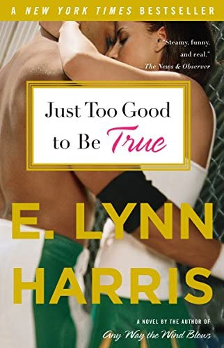 Just Too Good To Be True: A Novel, De Harris, E. Lynn. Editorial Anchor, Tapa Blanda En Inglés