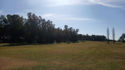 Imagen 5 de 6 de Terreno - Chacras Del Parana - Zarate