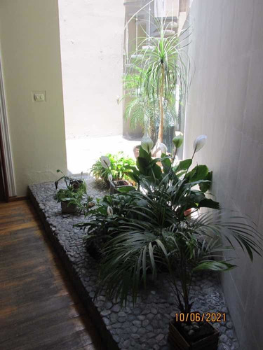 Imagen 11 de 14 de Casa En Renta En Insurgentes San Borja.