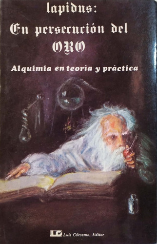 En Persecucion Del Oro -  Lapidus - Luis Carcamo