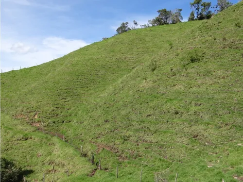 Finca En Venta La Unión Via Abejorral Antioquia. 83 Hectareas
