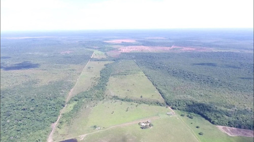 Fazenda 500 Alqueires (1210 Hectares), Juara - Mt
