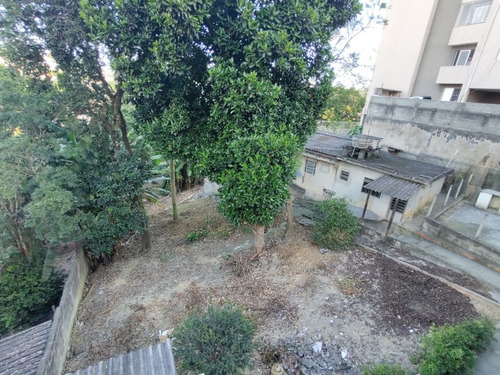 Imagem 7 de 8 de Terreno 1000m² Com Casa