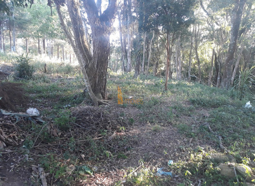 Imagem 6 de 6 de Terreno Em Centro, Piedade/sp De 10m² À Venda Por R$ 75.000,00 - Te1083255