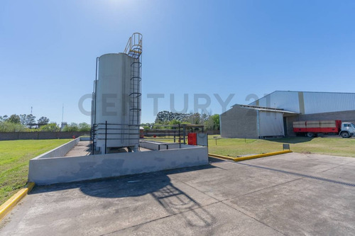 Imagen 14 de 30 de Venta - Galpon - Planta Industrial - Zarate