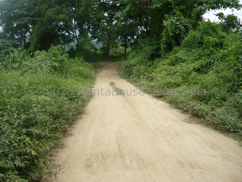 Imagen 21 de 30 de ( Terreno O Finca Agro Ecologica En Venta Chivacoa Sector Charay. Sorte 23-31244 As-1