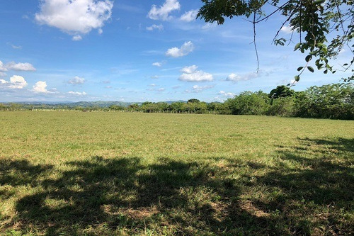 Imagen 19 de 25 de Asein882 Vende Excelente Finca En Tinaquillo Sector Caño De Agua