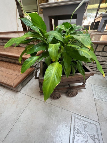 Vendo Residencia Muy Singular En Vallescondido