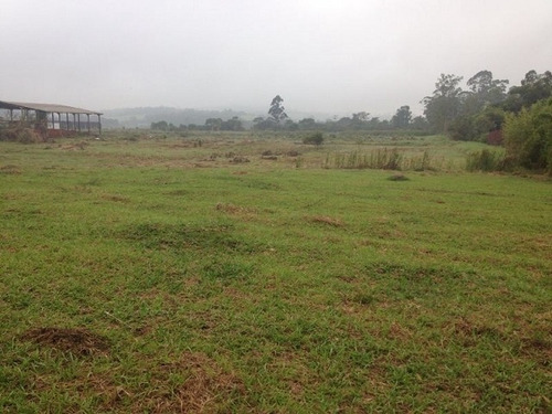 Imagem 3 de 6 de Terreno Para Venda, 0.0 M2, Jardim Revista - Suzano - 1794