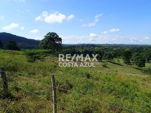Remax Vende Finca De 80 Hectáreas A Desarrollar Precio De Oportunidad, Sector Riecito, Estado Falcon.