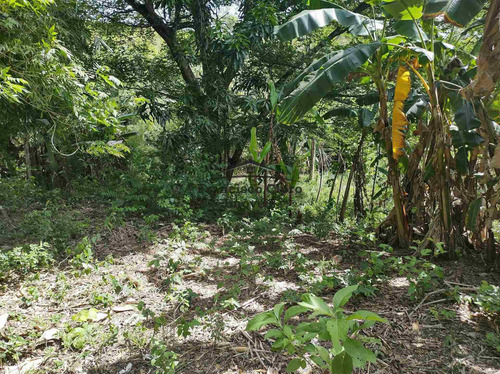 Imagem 23 de 28 de Terreno À Venda No Bairro Pilões - Guaratinguetá/sp - Tr009