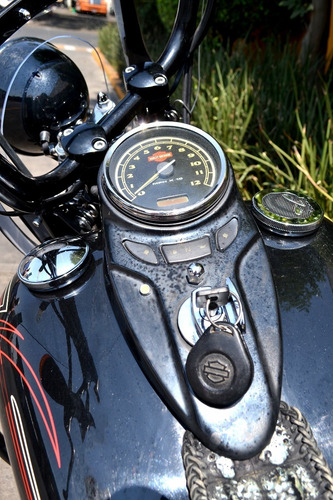 Imagen 7 de 15 de La Moto De Tus Sueños Harley Davidson Cross Bones 6 Vel 1584