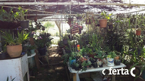Imagem 7 de 15 de Chacara Com Casa - Mariental - Ref: 321 - V-321