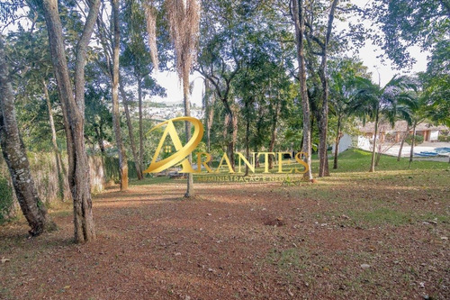 Imagem 13 de 30 de Chacara - Ch00414 - 71098311