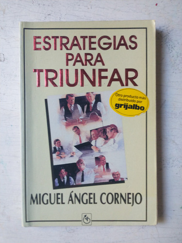 Estrategias Para Triunfar Miguel Angel Cornejo