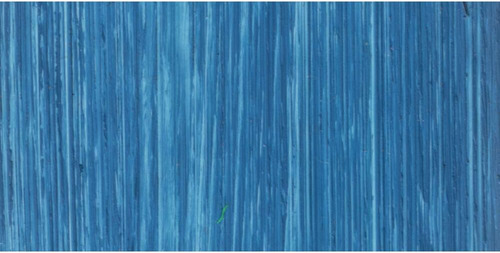 Artist Oil Colors Cerulean Blue Tubo De 40 Ml