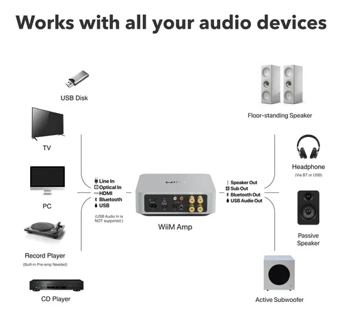 Wiim Amp: Amplificador De Transmissão Para Várias Salas | 1 Amp