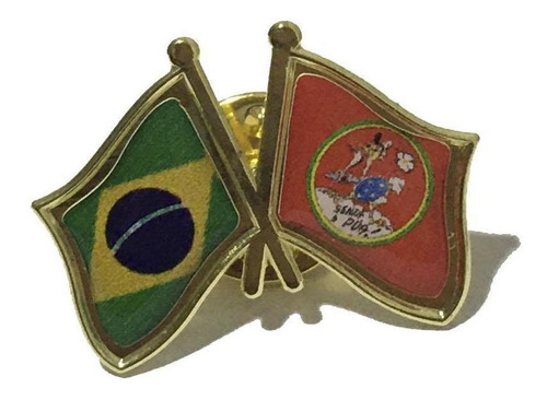 Pin Da Bandeira Do Brasil X Senta A Pua